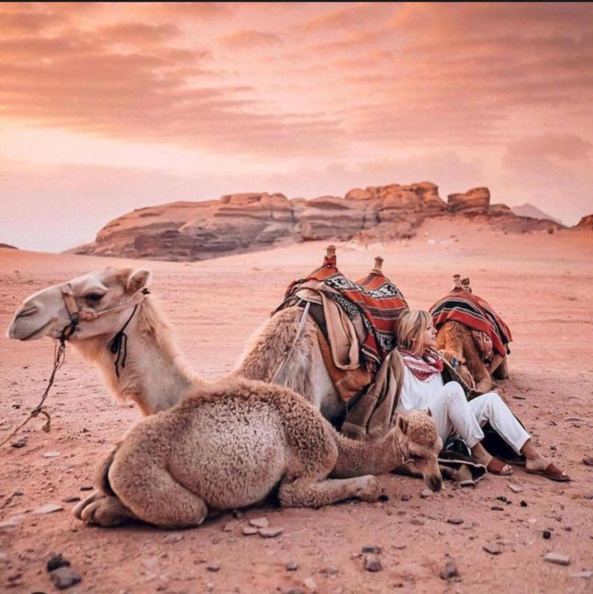 Wadi Rum Land Mars Kültér fotó